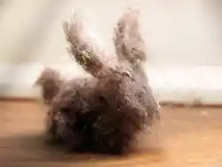 domashnyaya-pyl-yavlyaetsya-prichinoj-besplodiya