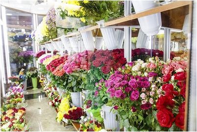 говорит Соммерс