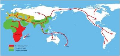 neandertal neandertal