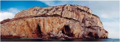 производства клетчатки производства клетчатки