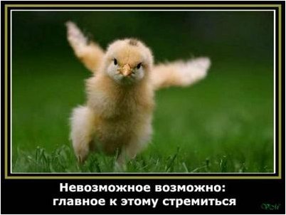 возможно возможно