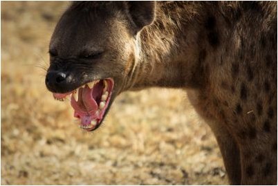 химические подписи