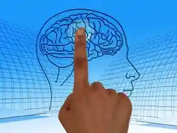 uchenym-zapretili-ozhivlyat-mertvyj-mozg