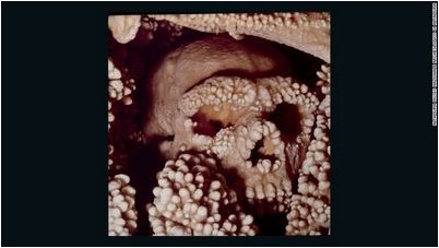 neandertal neandertal