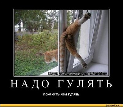 пациент пациент