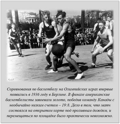 динозавр динозавр