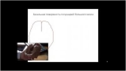 краб краб