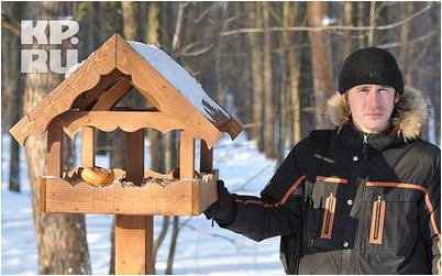 азотистых оснований