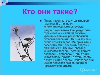 динозавр динозавр