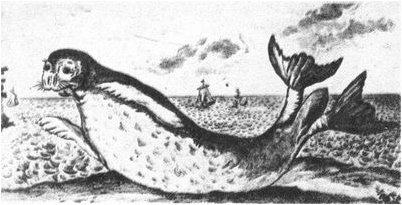 крокодилу рептилии