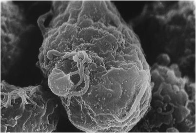 крайней мере