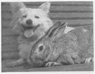 космический космический