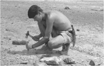 окаменелость