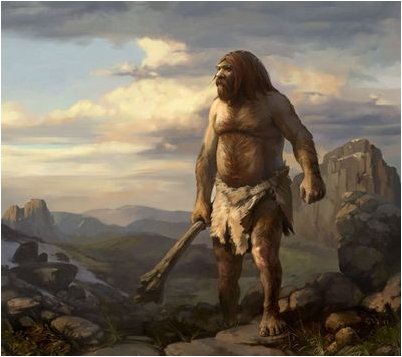 neandertals neandertals