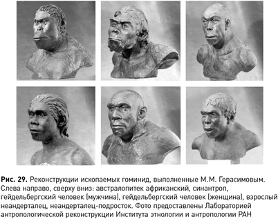 neandertals