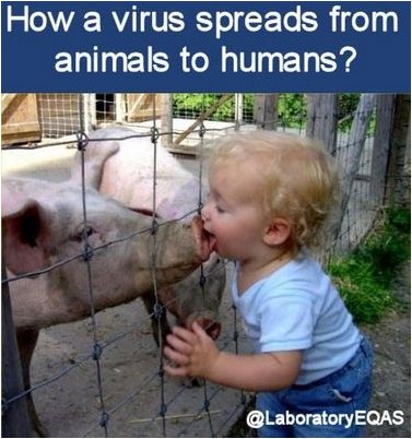 Нобелевскую премию