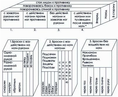 слепки черепов