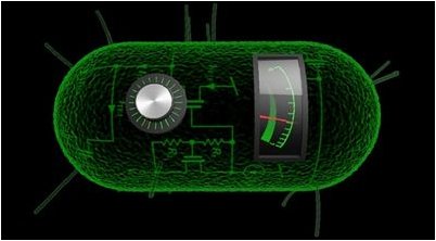 Стэнфордская бригада