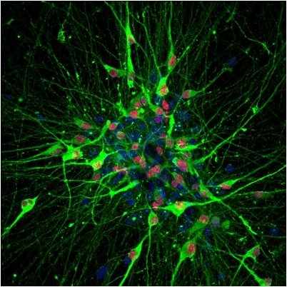 управление