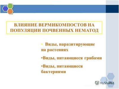 обзор обзор