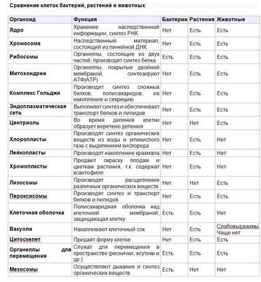 симбионт симбионт