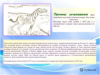 лень лень
