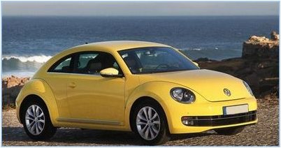 мучнистых червецов