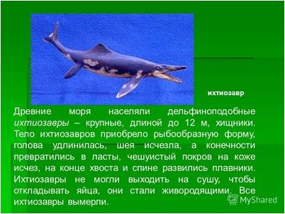 ихтиозавр ихтиозавр