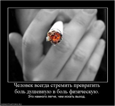 паспорт паспорт
