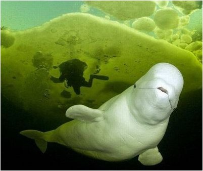 поверхность