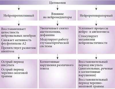 инсульт инсульт