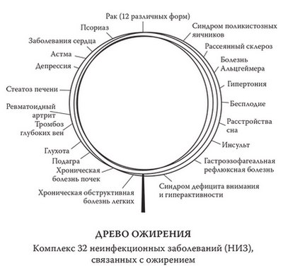 клетка клетка