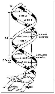 история