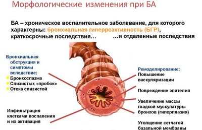 дошкольник дошкольник