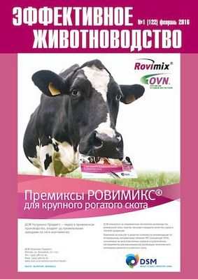 канада канада