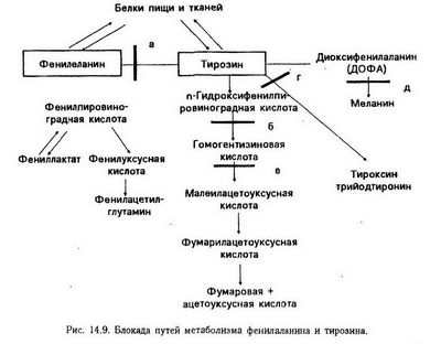 биоген