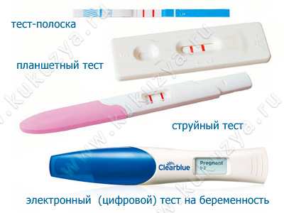 тест тест