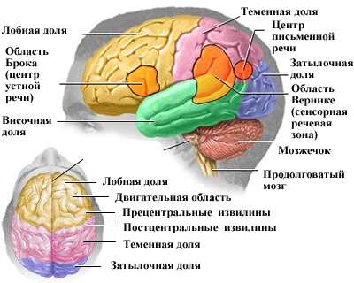 риск