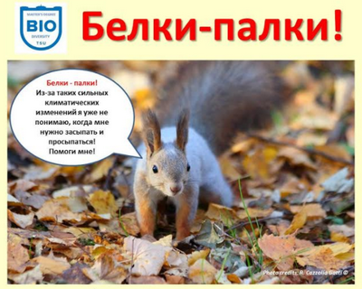 поведенческой гибкости поведенческой гибкости