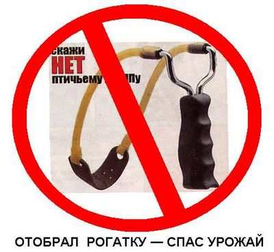 вакцина вакцина