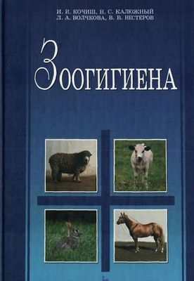 корова корова