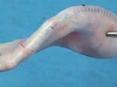 искусственный