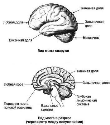 экстаз экстаз