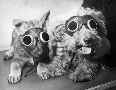 Зимний блюз видит свет