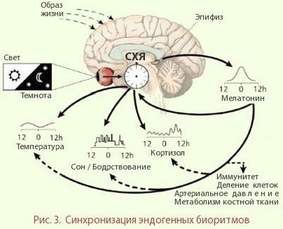 биологический