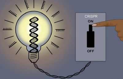 Ученые обнаружили, что переключение генов важно при раке
