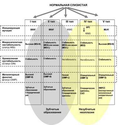 Исследование выявляет ранние генетические изменения в предраковой колоректальной ткани