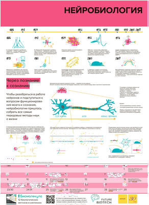 Исследования показывают новые глубины сложности нервных клеток
