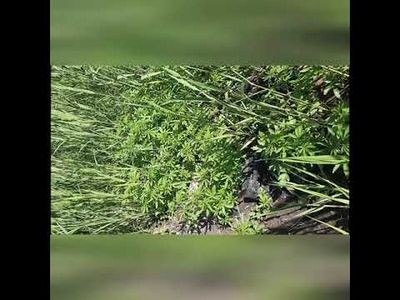 зависимость