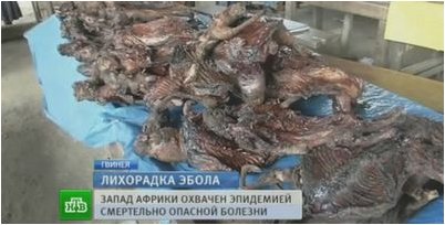 результат результат